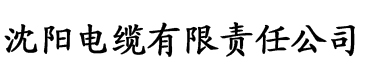 香蕉视频91污污电缆厂logo